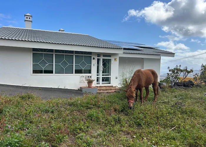 Casa La Oliva 1 Ferienhaus *